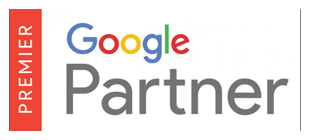 Pagina de Inicio 1 Google Partner en Aguascalientes