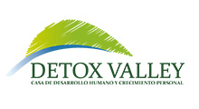 detox valley Marketing Digital y Publicidad Para ClÃ­nicas de RehabilitaciÃ³n en Adicciones