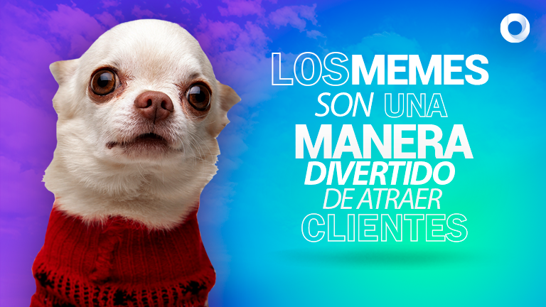 Memes y su Importancia