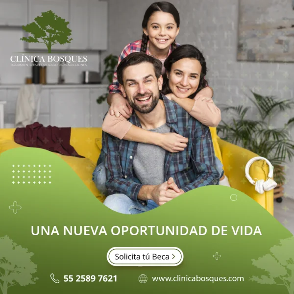 plantilla-base