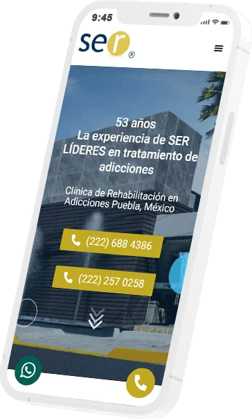 p1 2 Diseño de Paginas Web en México