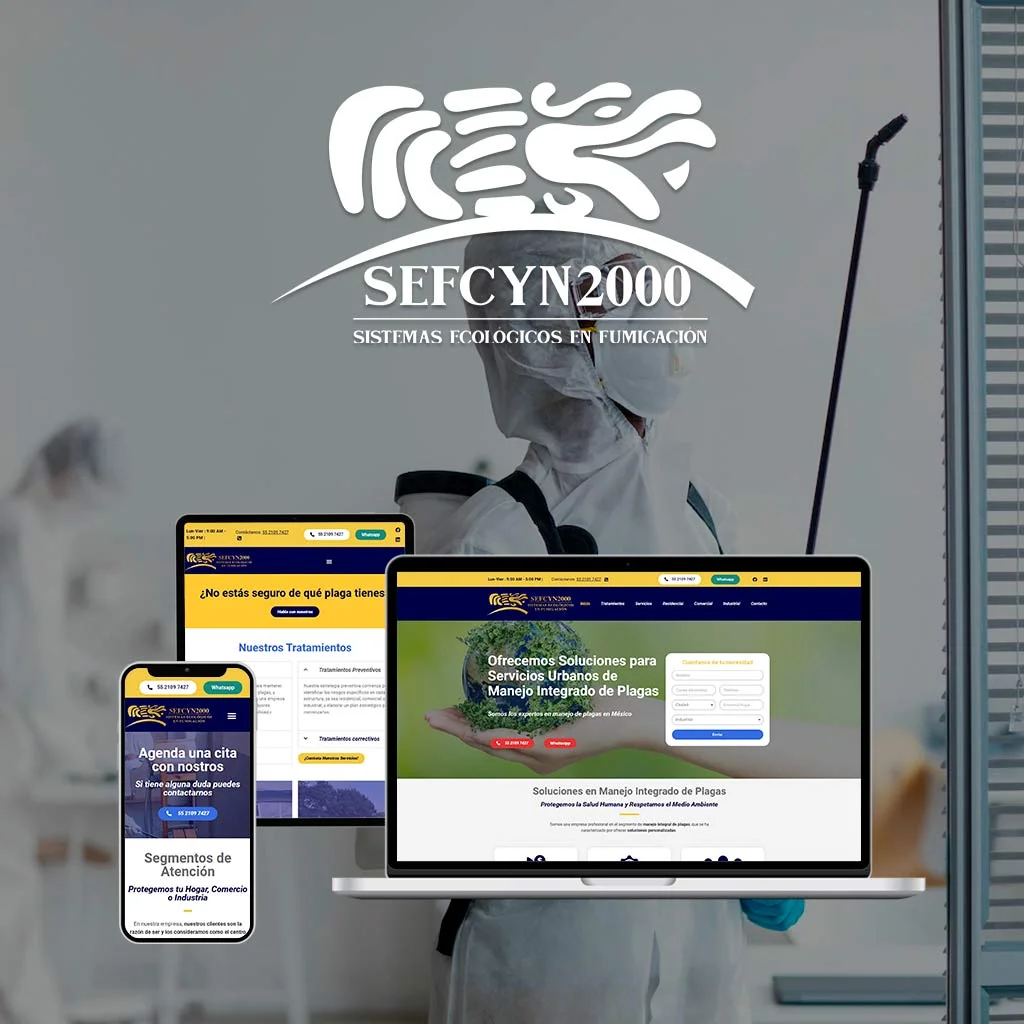 DiseƱo de PƔginas Web en Hermosillo 98 Sefcyn2000